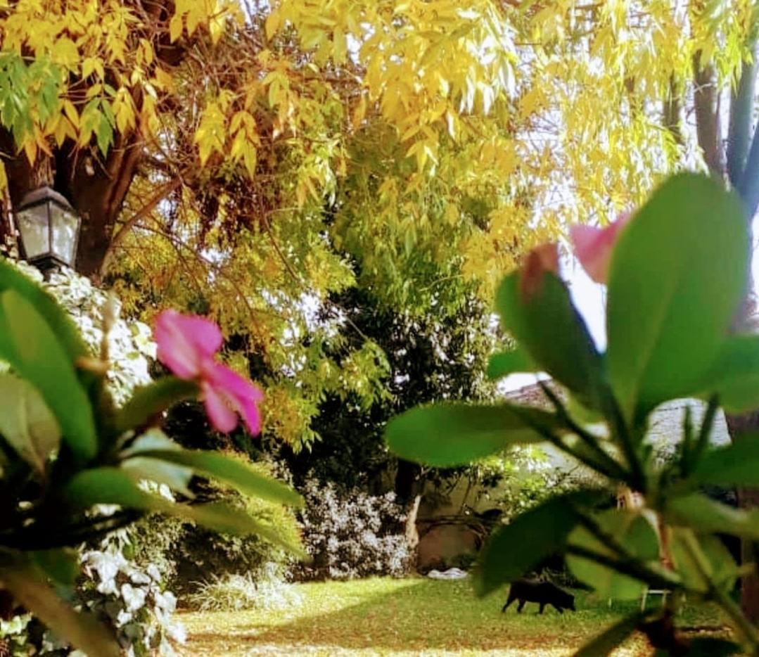 Nel'S Casa Hostel A 15 Minutos De Aeropuerto Ezeiza มอนเตกรานเด ภายนอก รูปภาพ